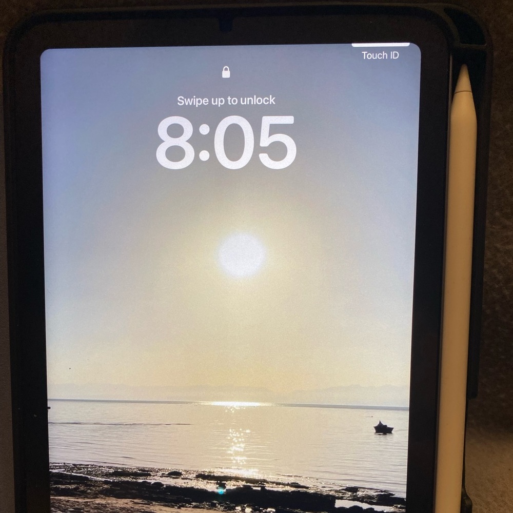 iPad mini with pencil